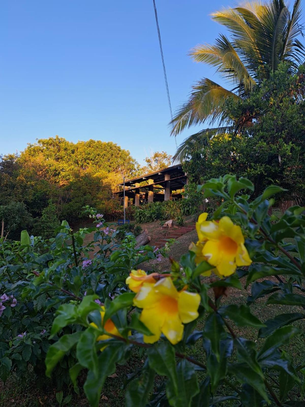 Serenity By Nature Carrillos Luaran gambar